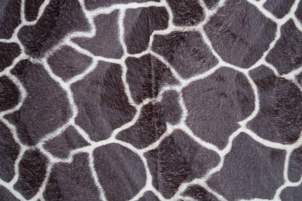 Vackra Giraff Textur Bakgrund — Stockfoto