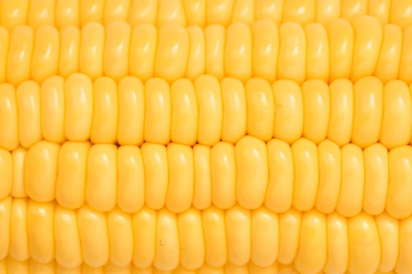 Yellow Corn Background Close — Stock Photo, Image