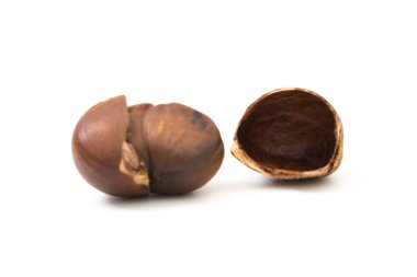 Beyaz arka plan üzerinde at kestanesi izole