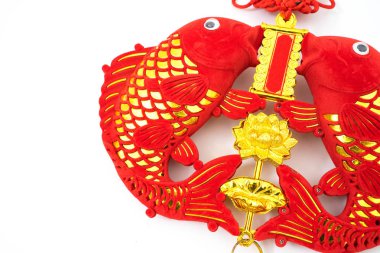 Çin altın balık izole üzerinde beyaz arka plan üzerinde asılı