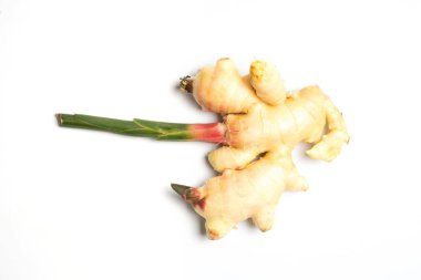 Beyaz arkaplanda taze zencefil kökü