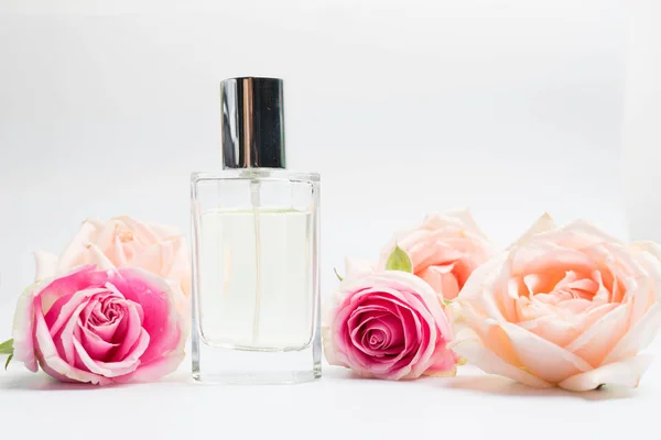 Schöne Parfümflaschen Und Rose Auf Weißem Hintergrund — Stockfoto