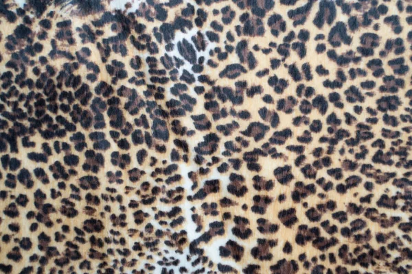 leopard pattern texture background