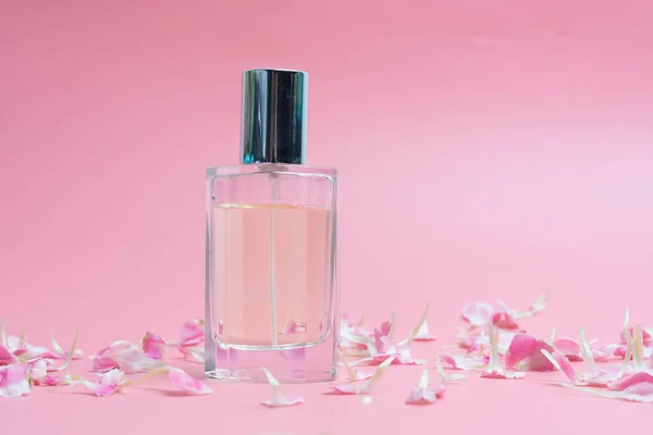 Hermosas Botellas Perfume Rosa Sobre Fondo Rosa —  Fotos de Stock