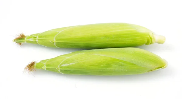 Fresh Corn Isolated White Background — Stock Photo, Image