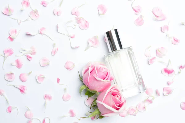 Schöne Parfümflaschen Und Rose Auf Weißem Hintergrund — Stockfoto