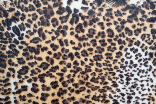 豹纹纹理背景 — 图库照片