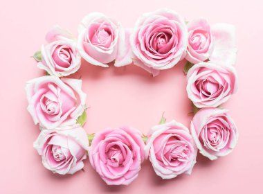 pembe gül çiçekleri çerçeve pembe