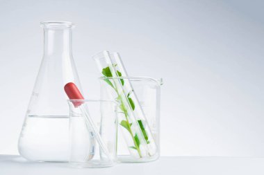 bitkisel ilaç doğal organik ve bilimsel cam ürünleri