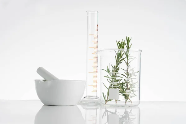 Laboratório e pesquisa com ervas medicinais alternativas — Fotografia de Stock