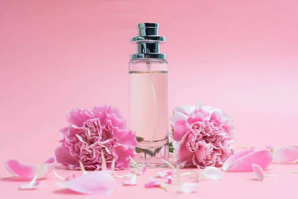 Flacons de parfum sur fond rose — Photo
