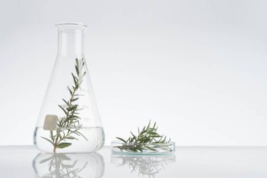Laboratuar ve araştırma ile alternatif ot ilacı