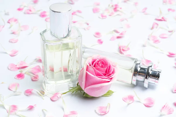 Духи бутылки и розы на белом фоне — стоковое фото