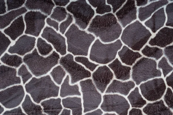 Hermosa textura de jirafa —  Fotos de Stock