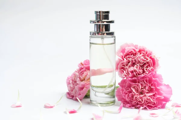 Butelki perfum i różowe goździki na białym tle — Zdjęcie stockowe