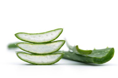 Aloe Vera Beyaz Arkaplanda