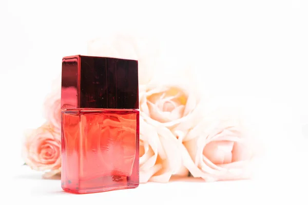 Perfume bottles and rose on white background — Stock Photo, Image