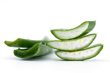 Aloe Vera Beyaz Arkaplanda