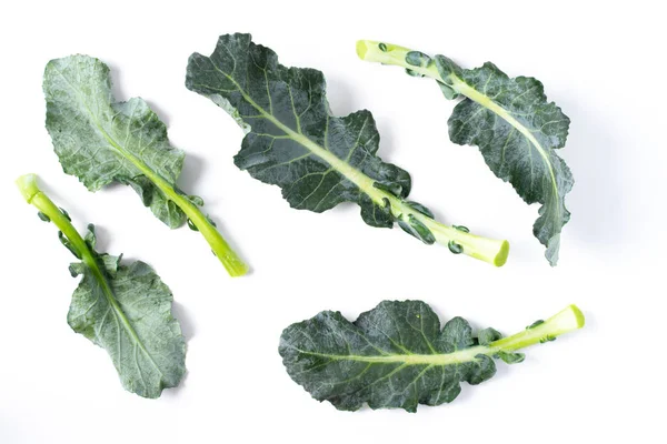 Broccoli bladeren geïsoleerd op wit — Stockfoto