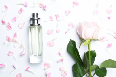 Parfüm şişeleri ve beyaz arka plan üzerinde gül