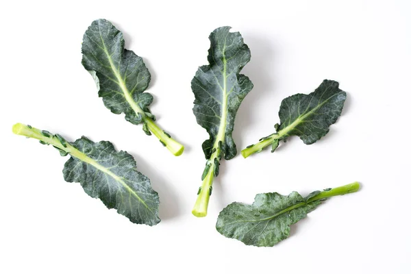 Broccoli bladeren geïsoleerd op wit — Stockfoto