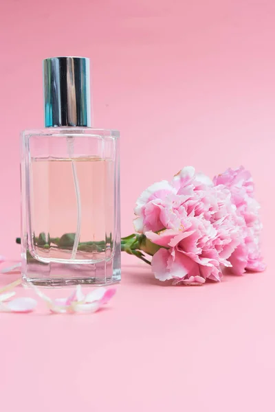 Frascos de perfume sobre fondo rosa — Foto de Stock