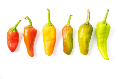 Beyaz toplama kırmızı acı biber