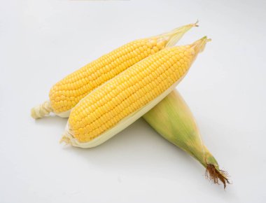Beyazın üzerinde taze mısır 