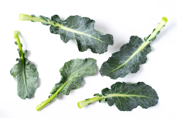 Broccoli bladeren geïsoleerd op wit — Stockfoto