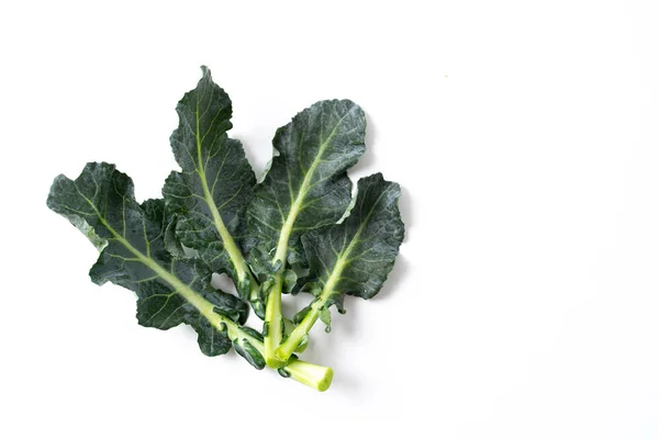 Broccoli leaves isolated on white — Stock Photo, Image