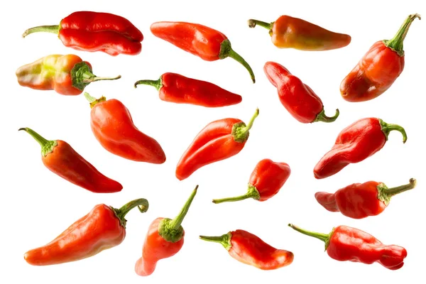 Concetto creativo peperoncino rosso volante su bianco — Foto Stock