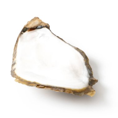 Beyaz üzerine yeni açılan istiridye