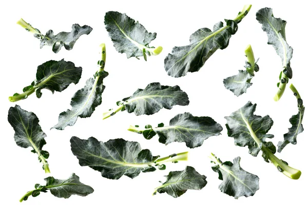 Concepto creativo volando hojas de brócoli aisladas en blanco — Foto de Stock
