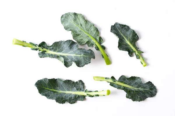 Hojas de brócoli aisladas en blanco — Foto de Stock