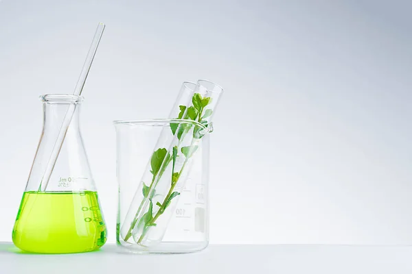中药天然有机和科学玻璃器皿 — 图库照片