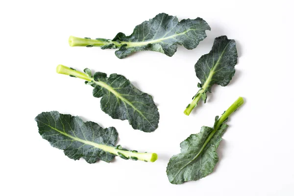 Broccoli bladeren geïsoleerd op wit — Stockfoto