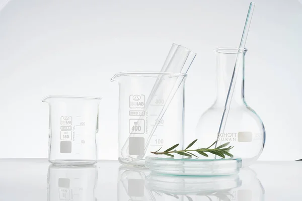 Laboratório e pesquisa com ervas medicinais alternativas — Fotografia de Stock
