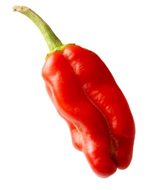 beyaz kırmızı biber uçan yaratıcı kavram