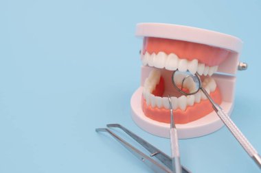 Mavi arkaplanda diş modeli ve dişçi aracı