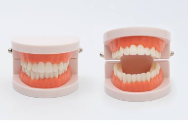 Beyaz arkaplanda diş modeli ve dişçi aracı