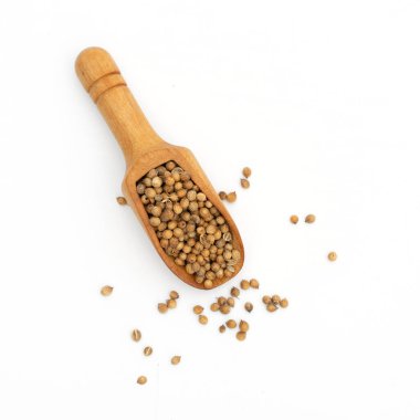 Kurutulmuş kişniş tohumları beyaz arka planda ahşap kaşık