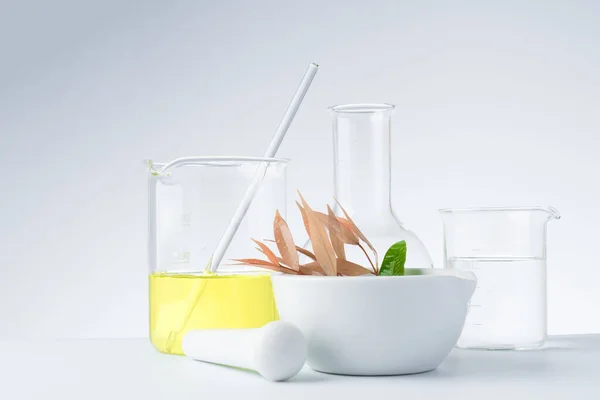 Рослинна Медицина Природні Органічні Наукові Дослідження Скляного Посуду — стокове фото