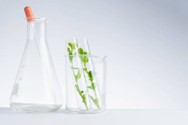 Bitkisel tıp doğal organik ve bilimsel cam araştırması.