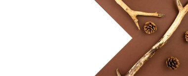 Köknar kozalaklı ahşap dallar kahverengi ve beyaz arkaplan arkaplan arkaplan manzaralı fotokopi alanı üzerinde yatıyordu. Doğal, ekolojik, organik orman geçmişi. Sonbahar, sonbahar kompozisyon düzeni. Uzun afiş Stok fotoğrafı