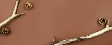 Köknar kozalaklı ahşap dallar. Yaratıcı düz. Fotokopi alanı olan kahverengi arka plan manzaralı. Doğal, ekolojik, organik orman geçmişi. Sonbahar, sonbahar kompozisyon düzeni. Stok fotoğrafı.