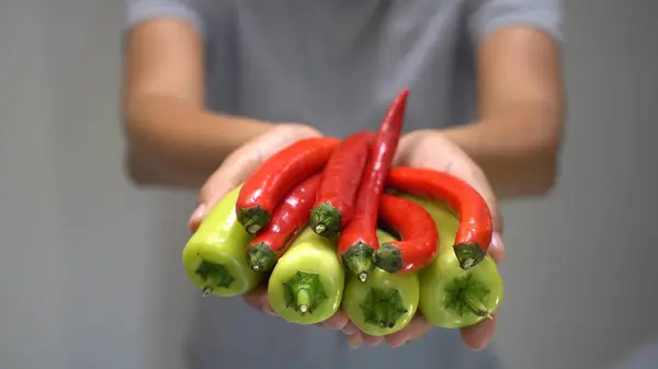 Mulher mão segurando pimenta vermelha e verde . — Fotografia de Stock