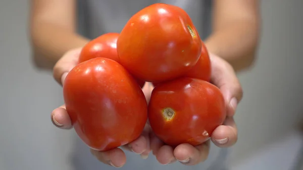 Frau hält rote Tomate in der Hand. Stockbild