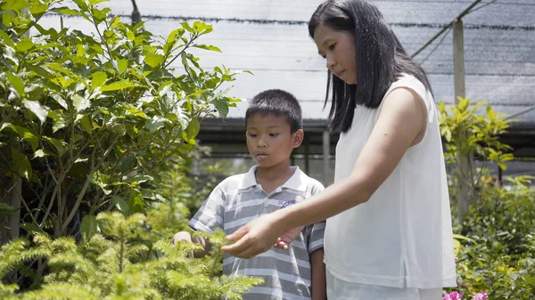 Asiática madre e hijo cuidar de los árboles en el jardín . — Foto de Stock