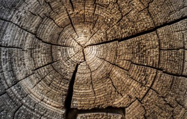 çatlamış ahşap kesme ahşap