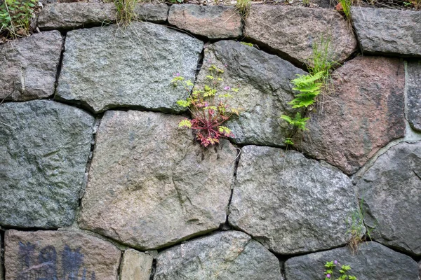 Alte Steinmauer Granit — Stockfoto